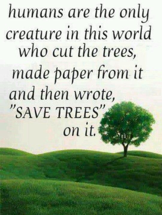 Humans-are-the-only-creatures-in-this-world-who-cut-the-trees-make-paper-from-it-and-then-write-Save-The-Trees-on-it