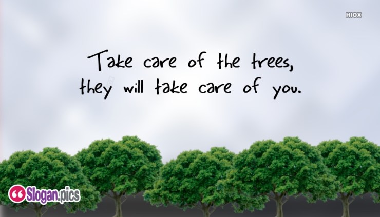 take-care-of-the-trees-52650-42587