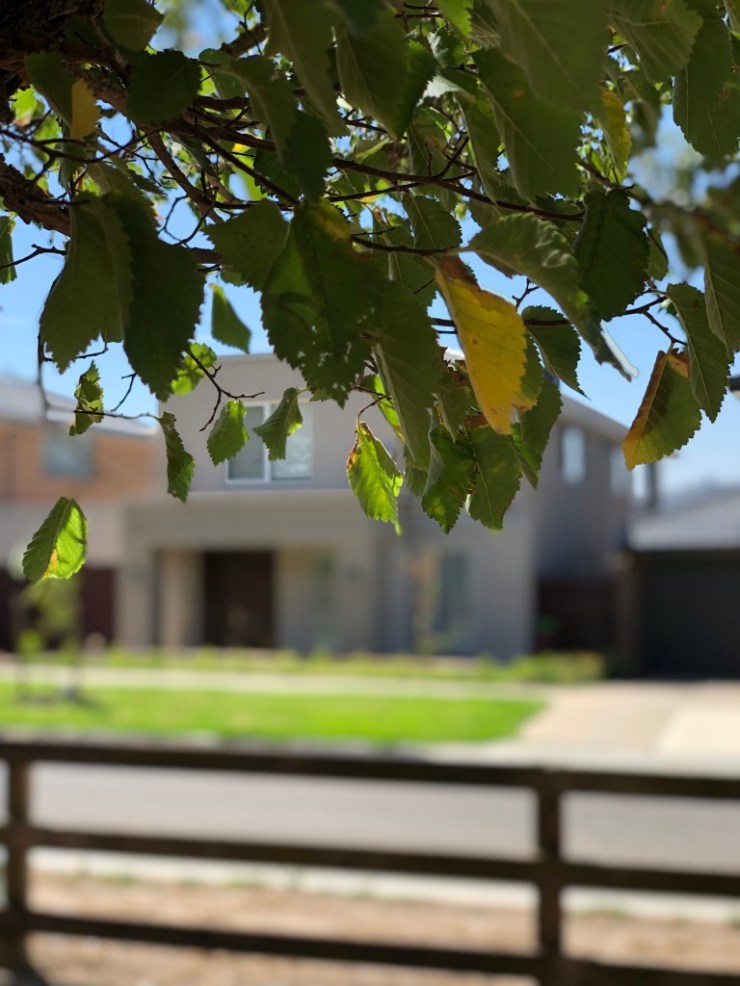 UNADJUSTEDNONRAW_thumb_4c9c