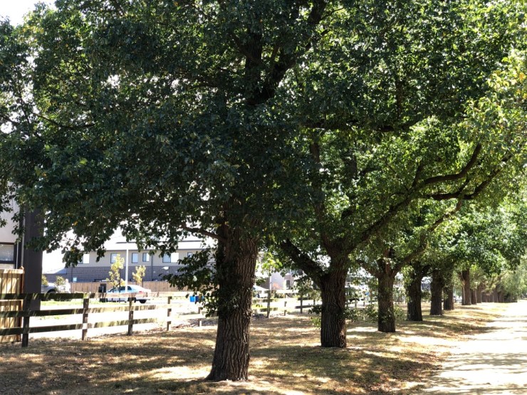 UNADJUSTEDNONRAW_thumb_4cf8