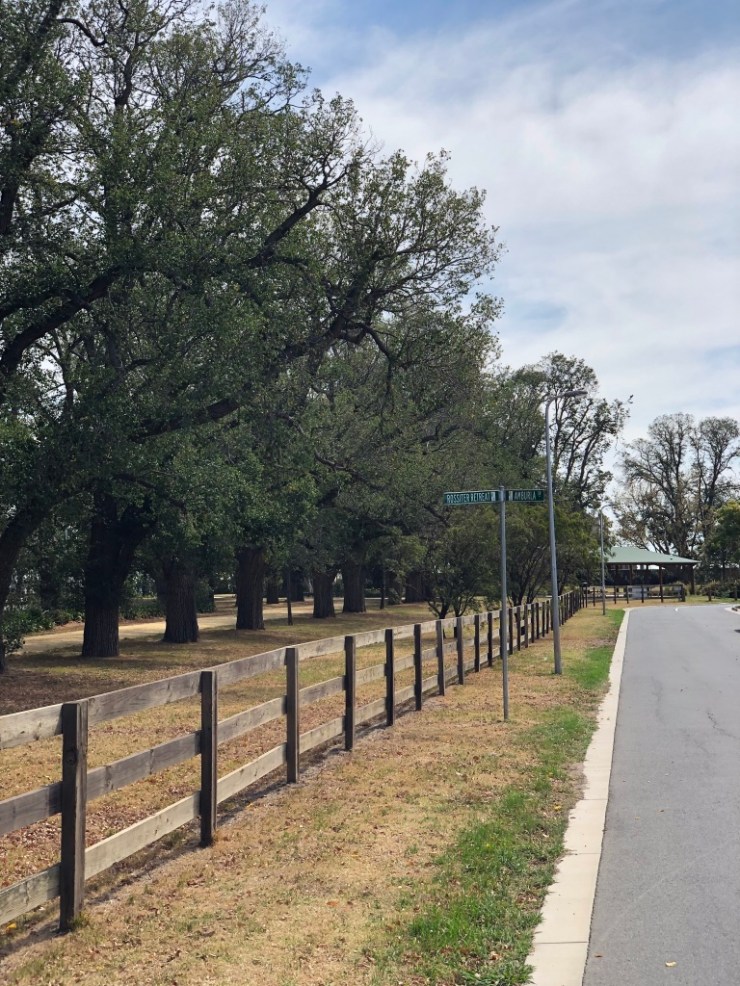 UNADJUSTEDNONRAW_thumb_4d01