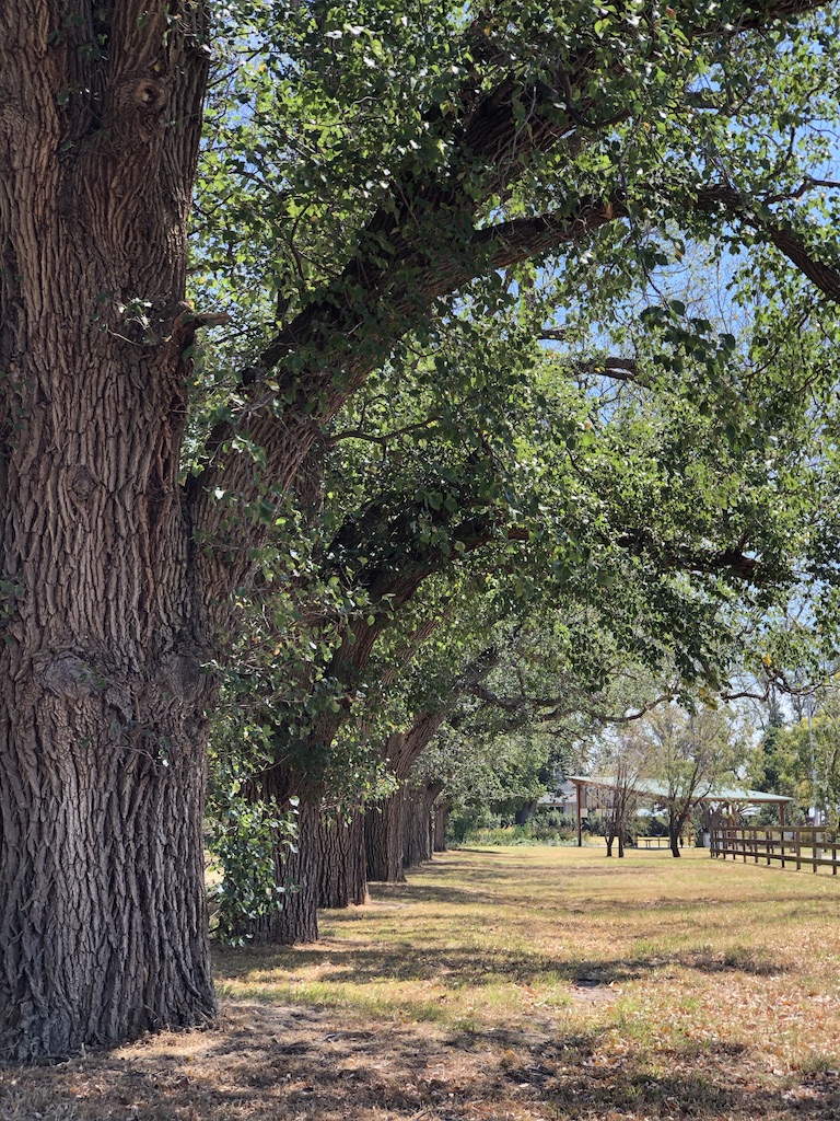 UNADJUSTEDNONRAW_thumb_4d14