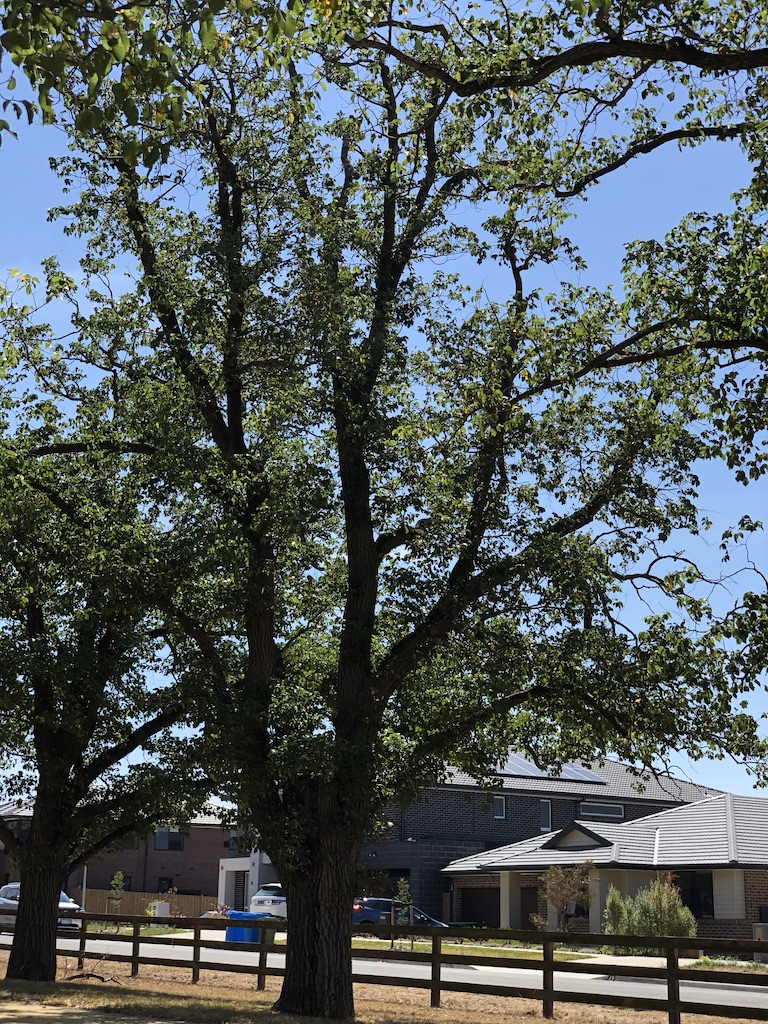 UNADJUSTEDNONRAW_thumb_4d7e